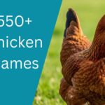 Chicken Names