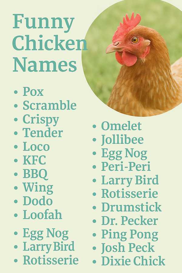 Funny Chicken Names