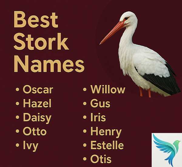 Best Stork Names