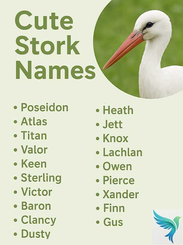 Cute Stork Names