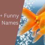 Fish Names