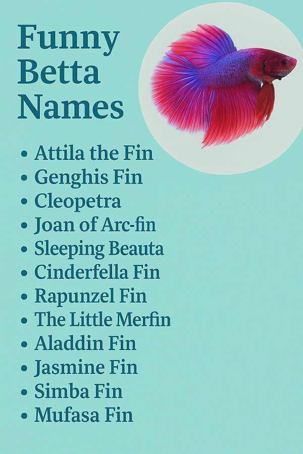 Funny Fish Names Betta